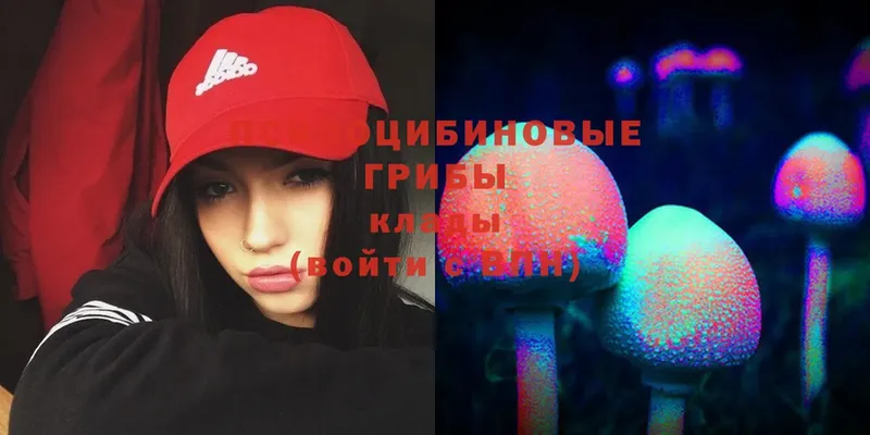 Псилоцибиновые грибы Cubensis  Яровое 